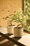 dune round 14cm linen white